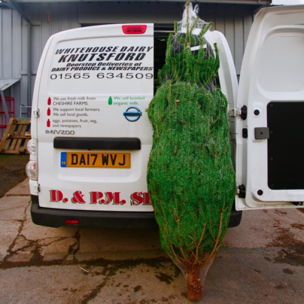 Christmas Trees & Wreaths
